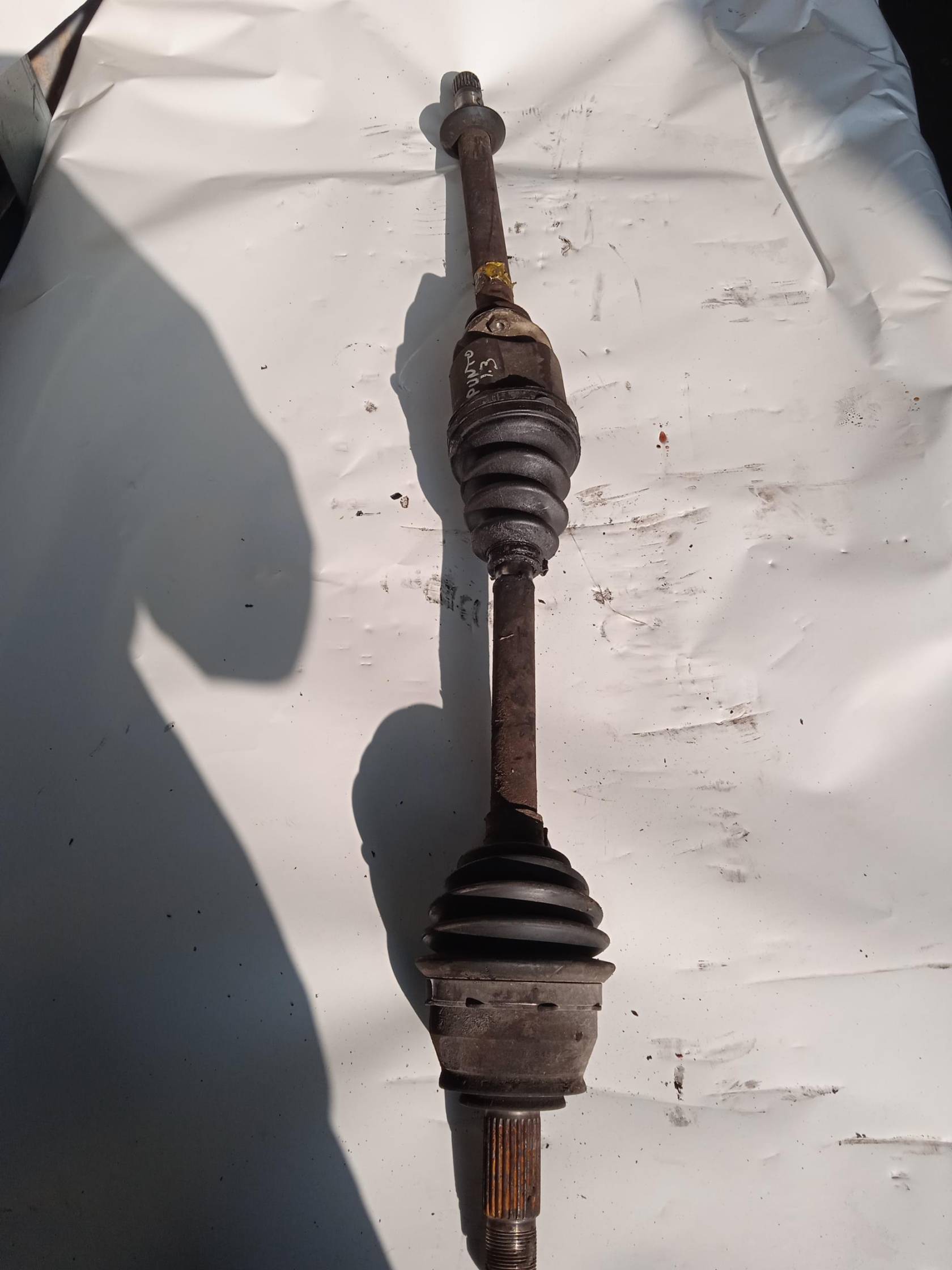 Semialbero ant. compl. dx.